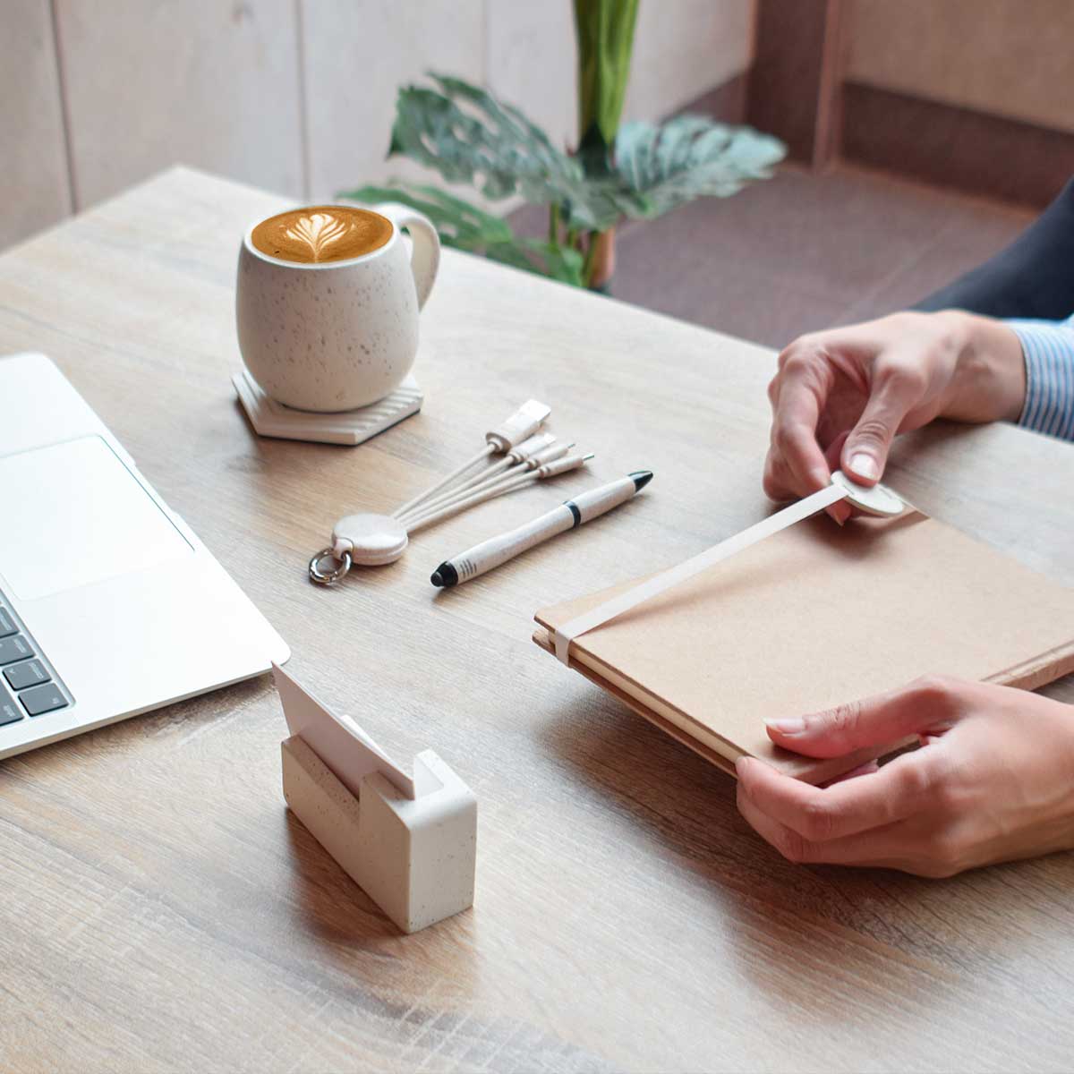 Eco Friendly Sustainable corporate gifts