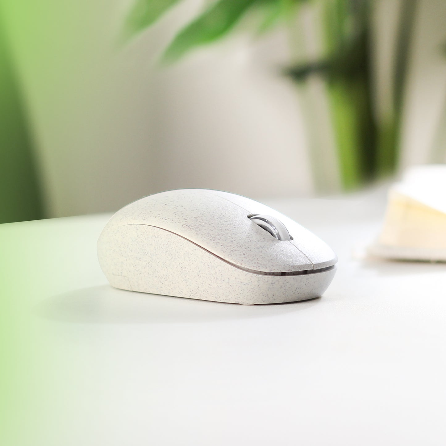 Eco-Friendly Mouse