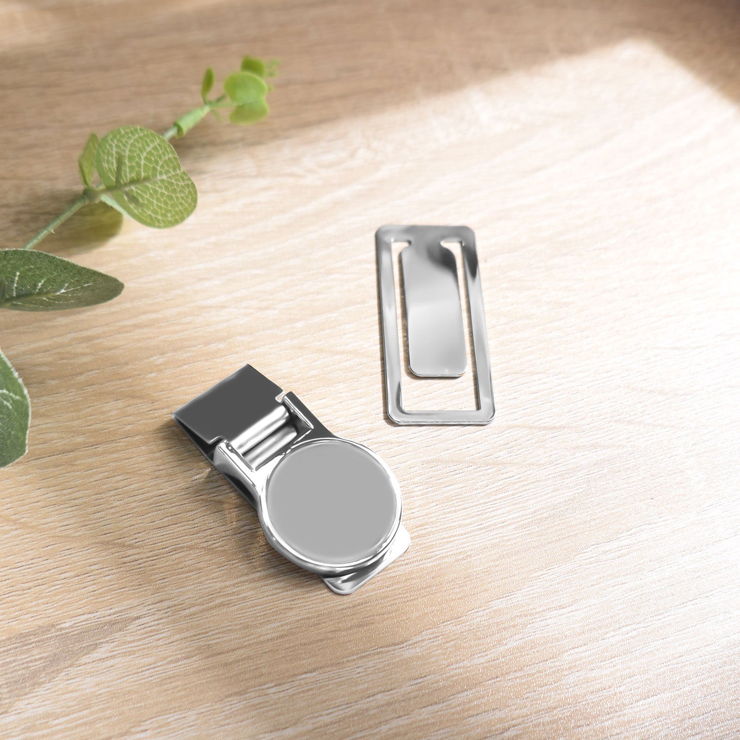 Money Clip
