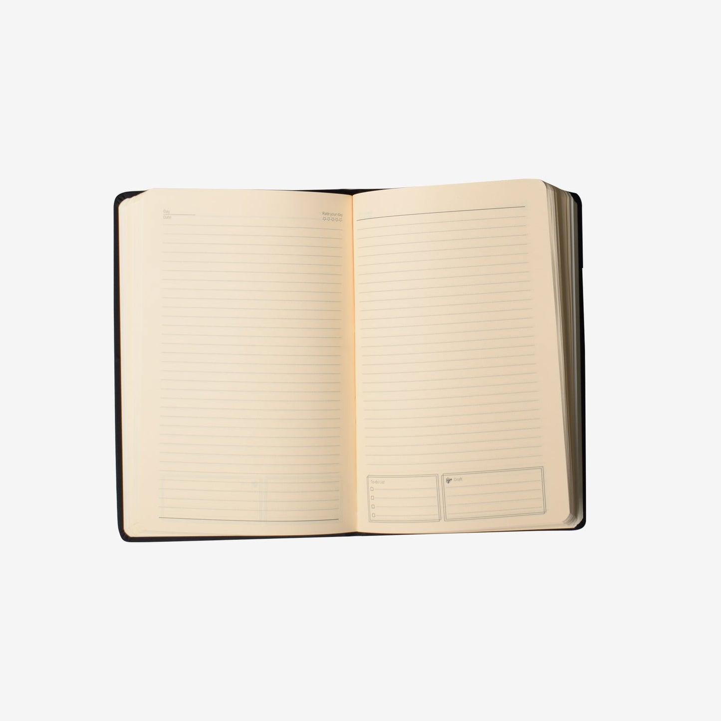 Shiny Notebook