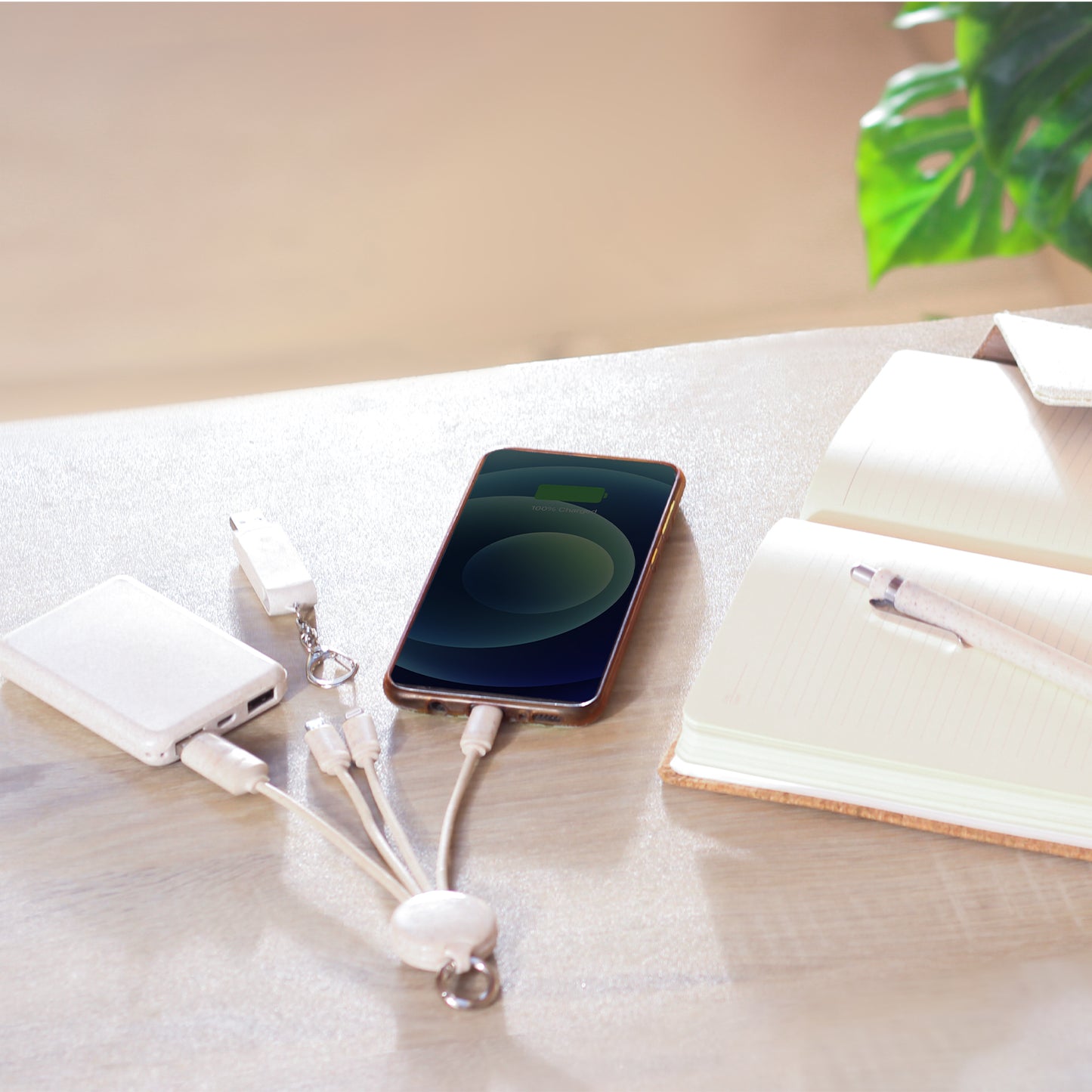 Eco-Friendly Set