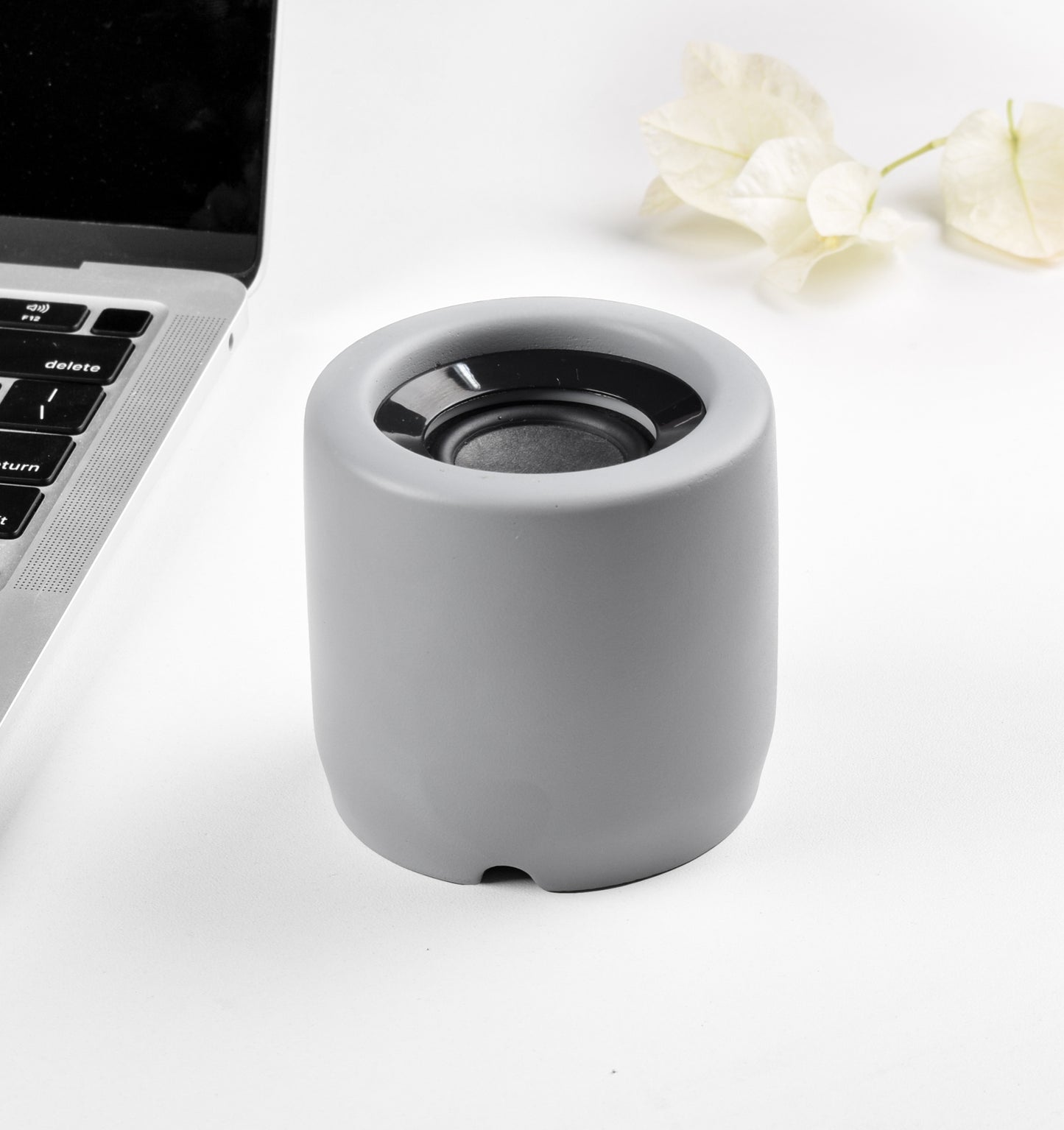 Limestone Cement Speaker