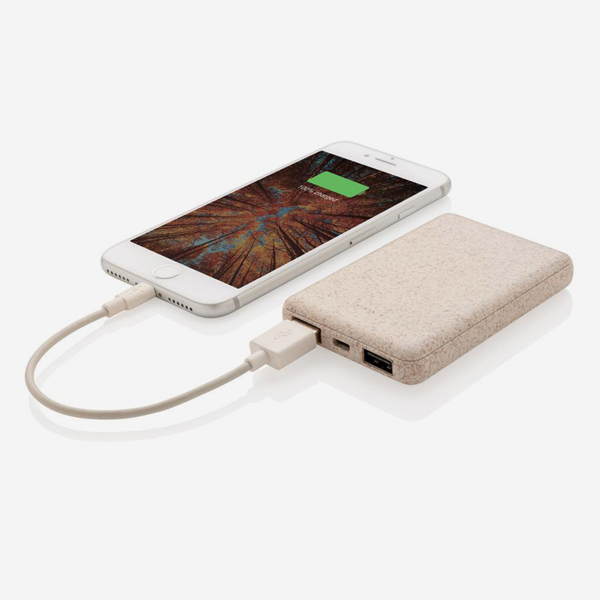 Wheat Straw Power Bank