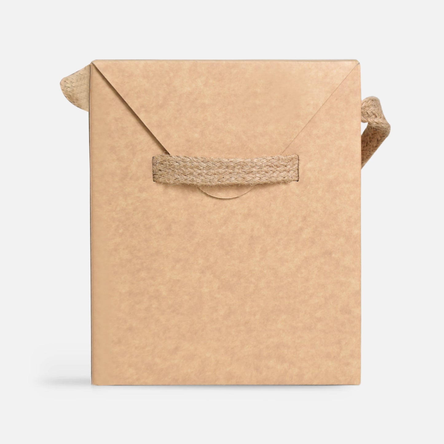 CARTON BOX (CR BC8)
