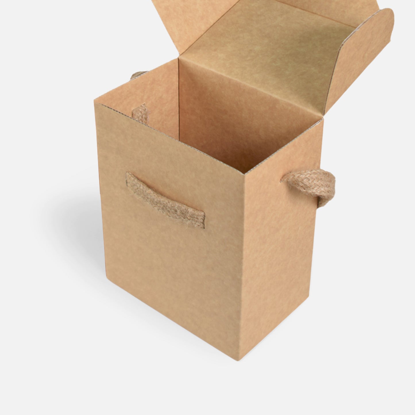 CARTON BOX (CR BC8)
