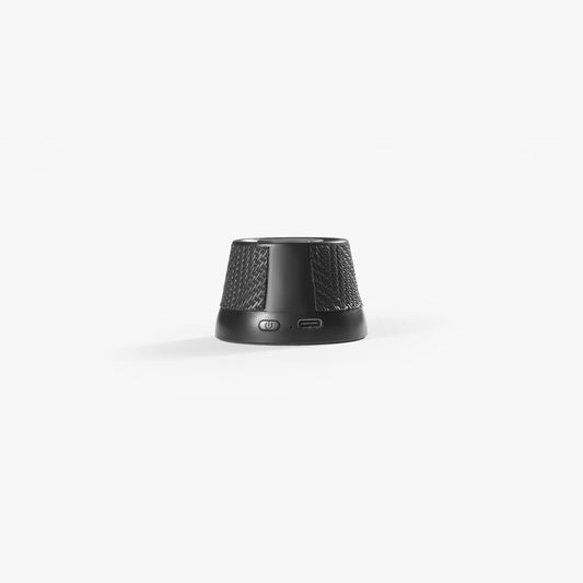 Magnetic Speaker