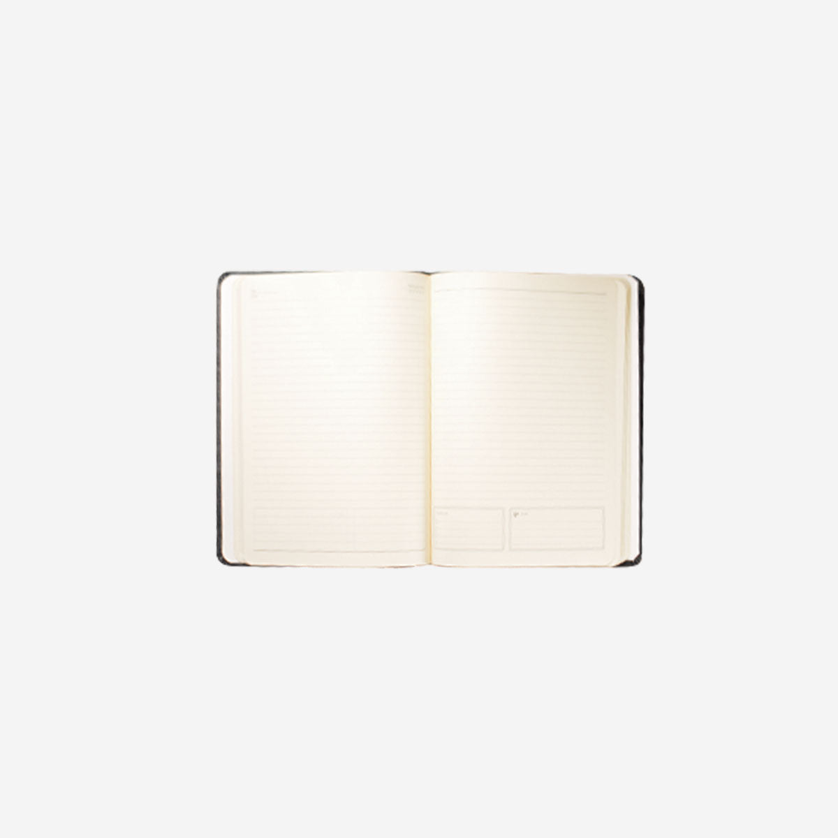 Elastic Notebook