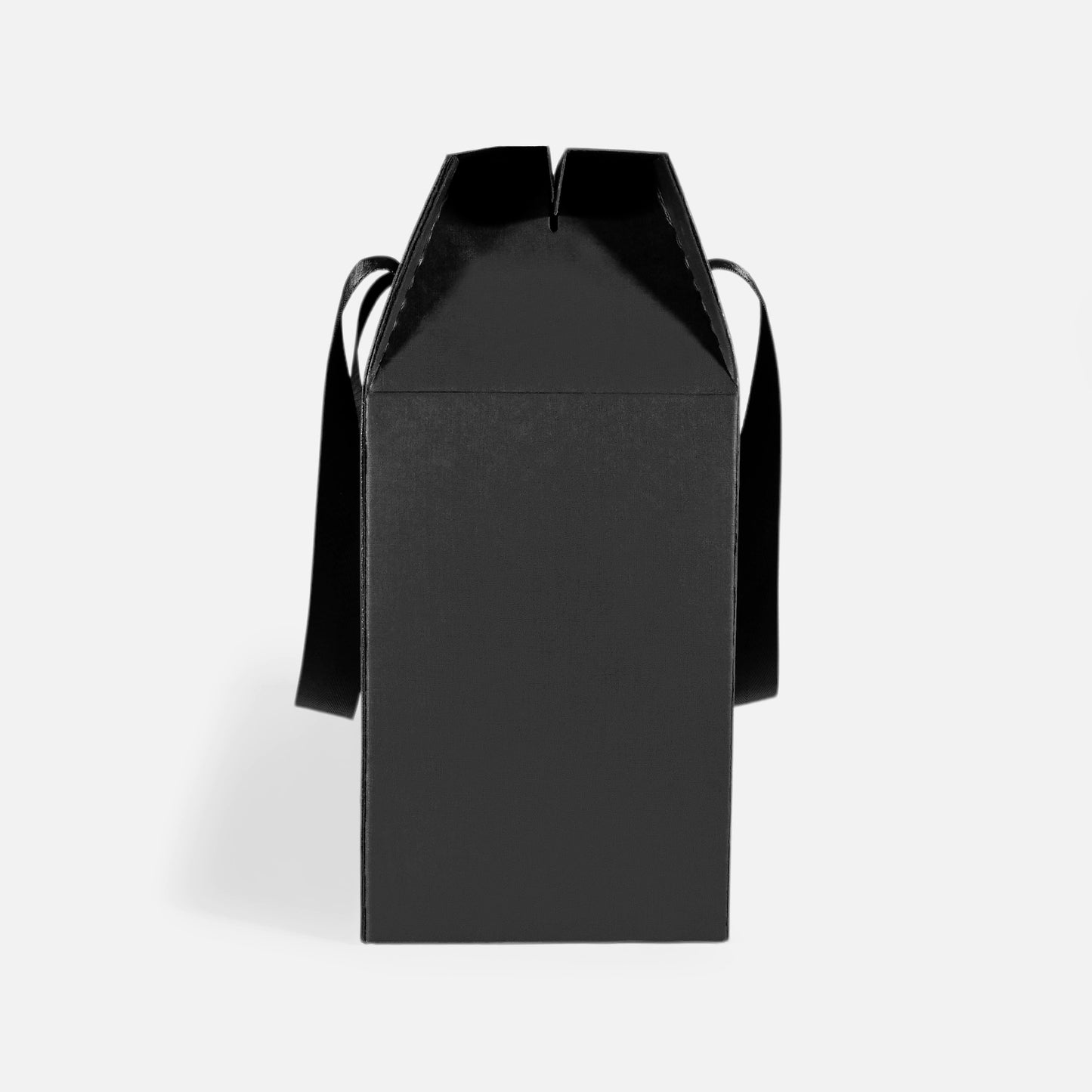 Large Carton Box