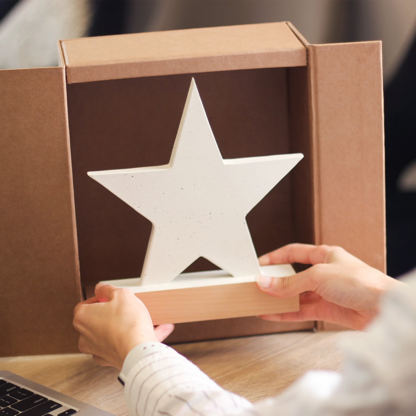 Star Eco-Friendly Trophy