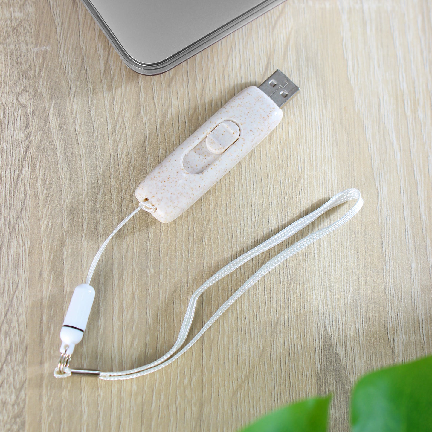 ECO-FRIENDLY FLASH MEMORY (WS FM6)