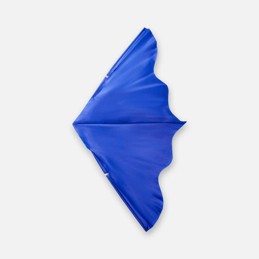 FLY HIGH WITH OUR KITE