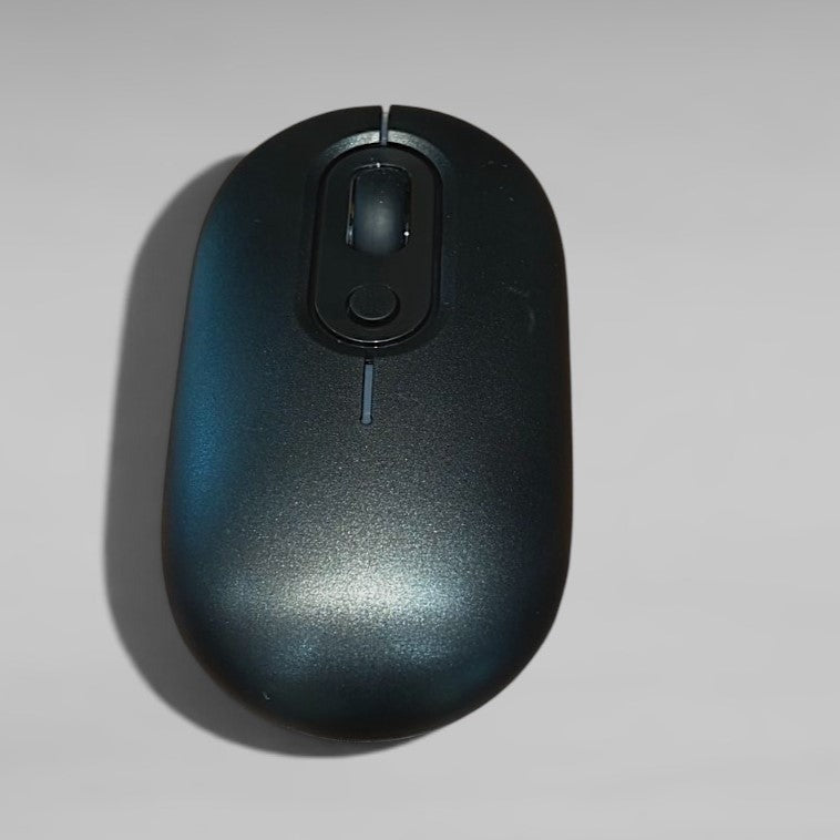 Mouse