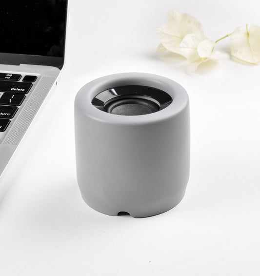 Limestone Cement Speaker