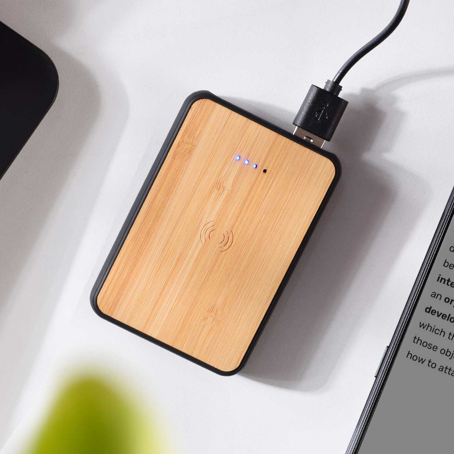 Bamboo Power Bank