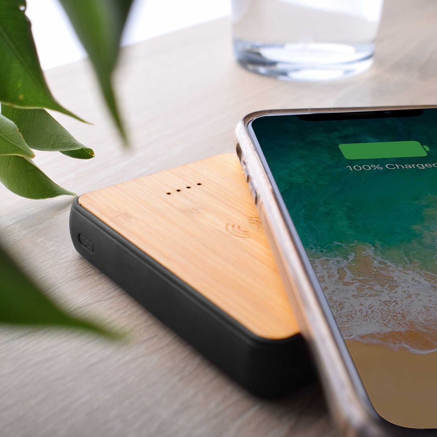 Bamboo Power Bank